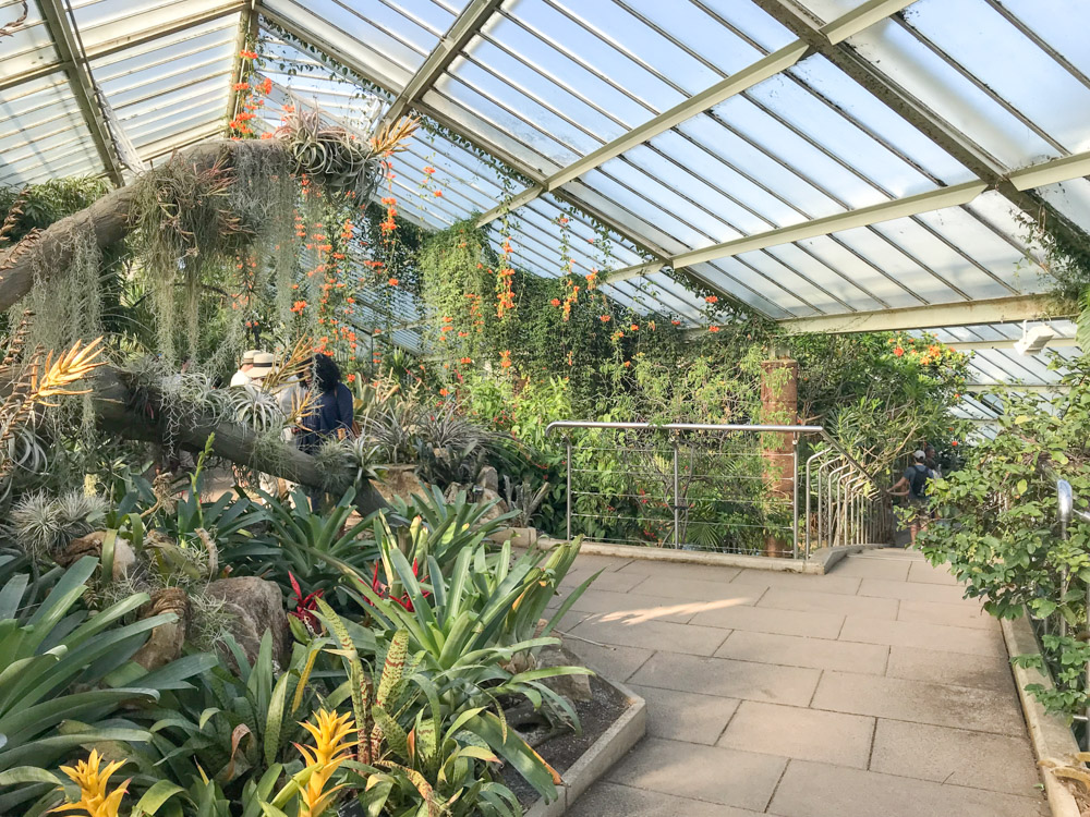 Royal Botanical Kew Gardens by The Athenian Girl