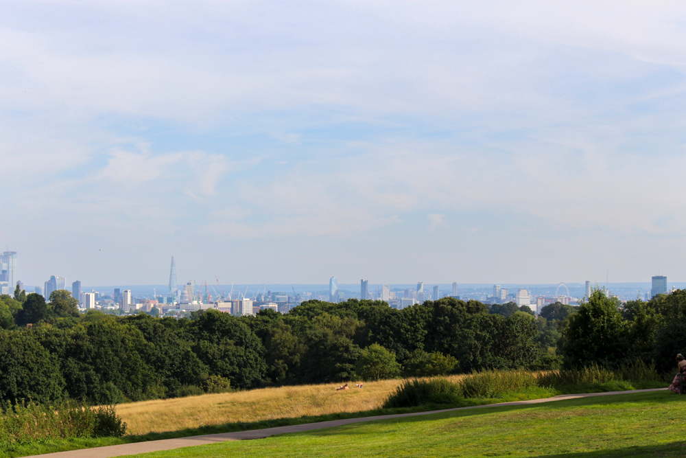 A day in Hampstead Heath